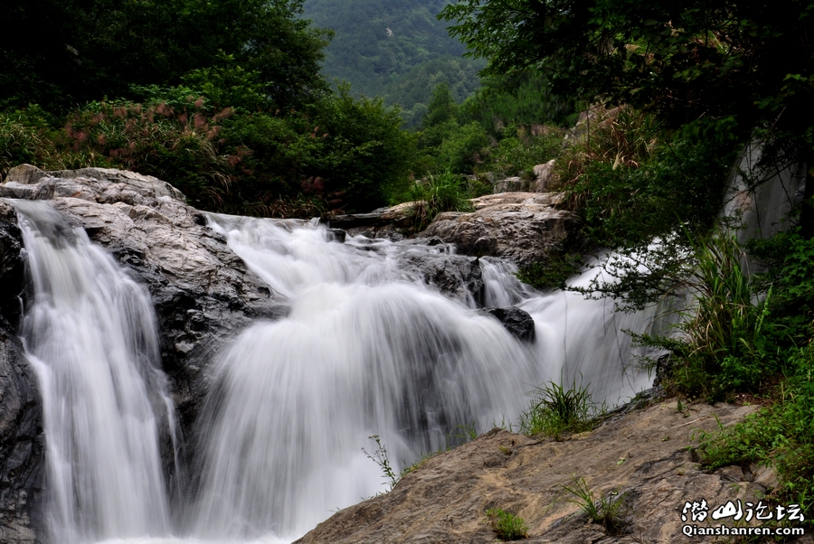 DSC_0066.jpg