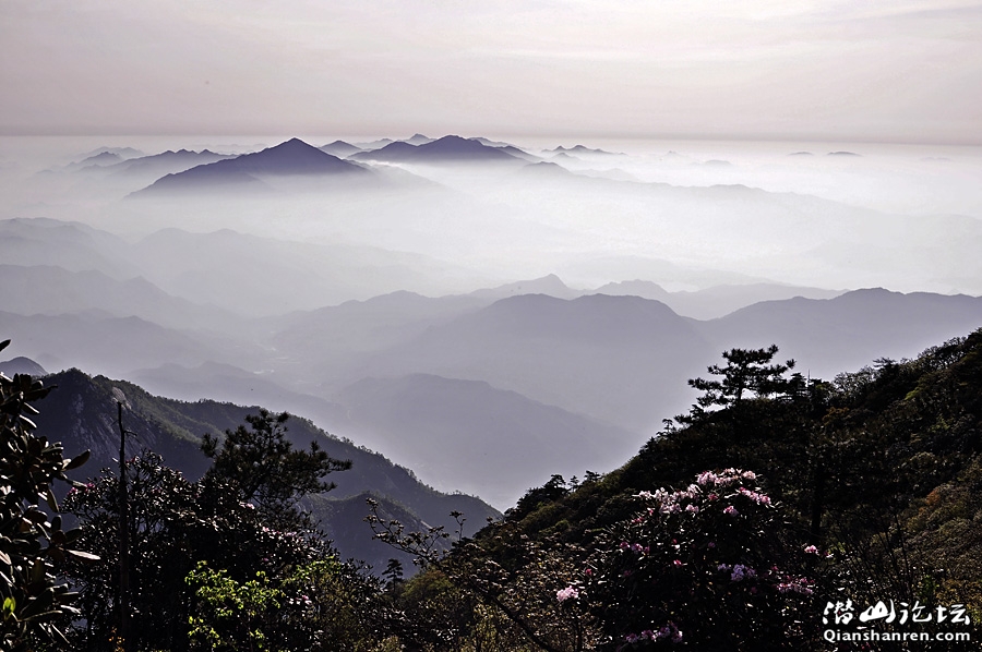 2011051617294980.jpg