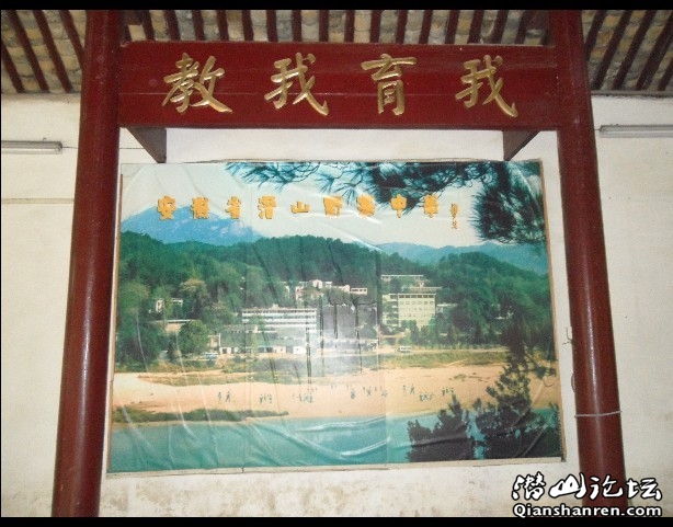 04.jpg