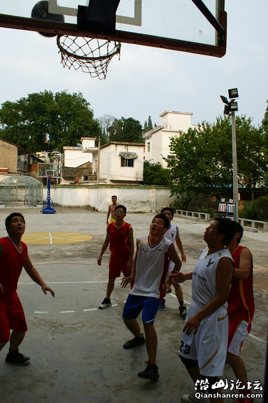 DSC08017_����.jpg