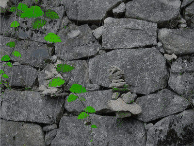 1106232327d0bf63d2f358ce94.gif