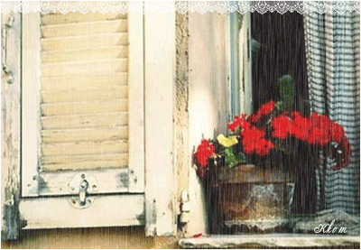 1106232328b8faf21b02938d1c.gif