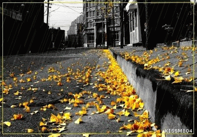 1106232328c582cc9e7b1a57b0.gif