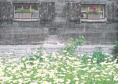 1106232328e00475c634a0a041.gif