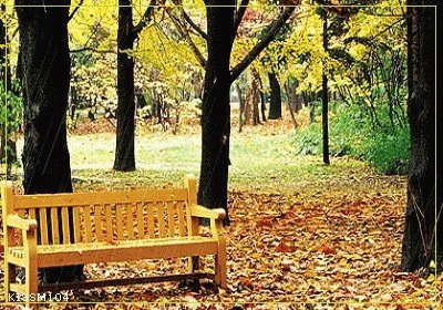 1106232331d35d6a439a190d43.gif
