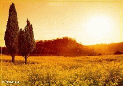 1106232331dbe8387d0f34cbf6.gif