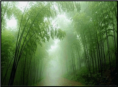 11062323228df22996e6f6dfcb.gif