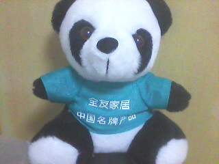IMG0182B.jpg