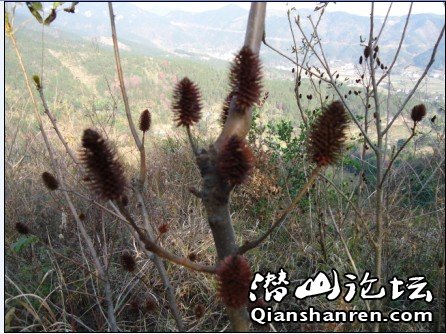 CIKH%SISN`KT3SQT`2{CG.jpg