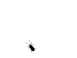 131805816619064.gif