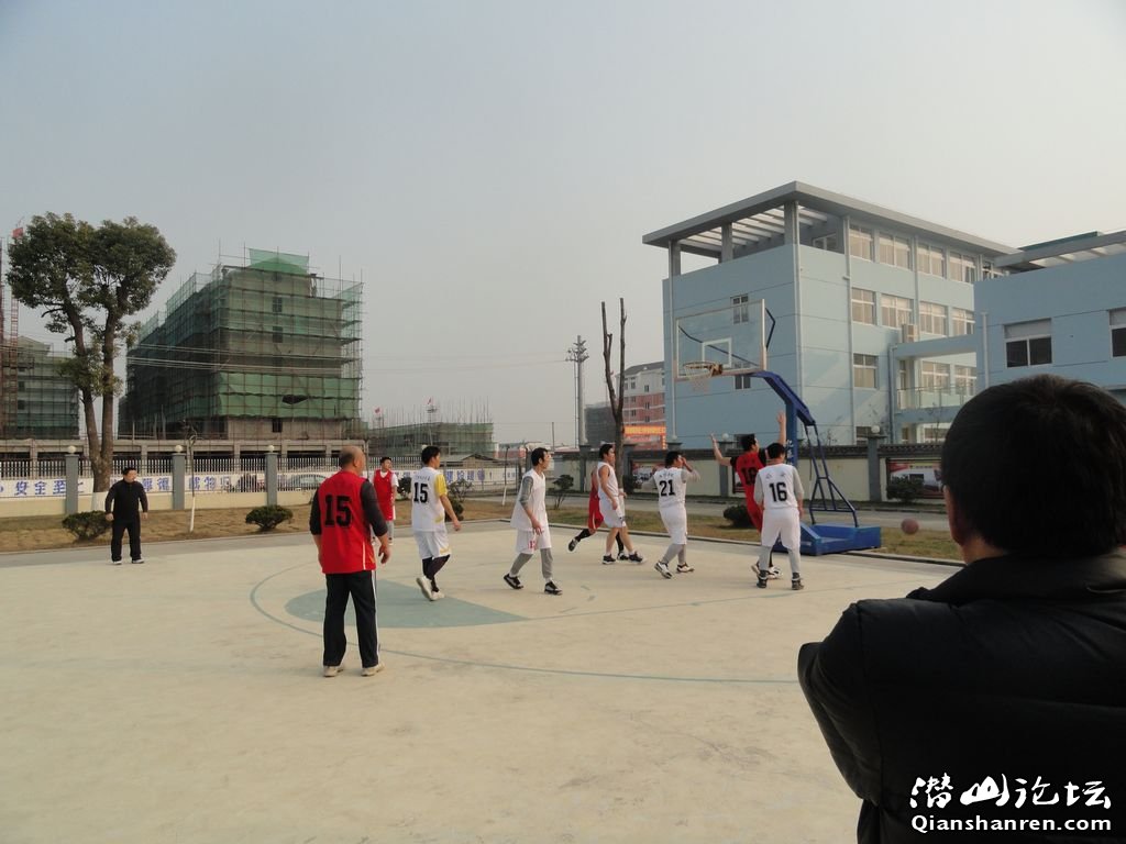 203815rfqfsa446014y40x.jpg