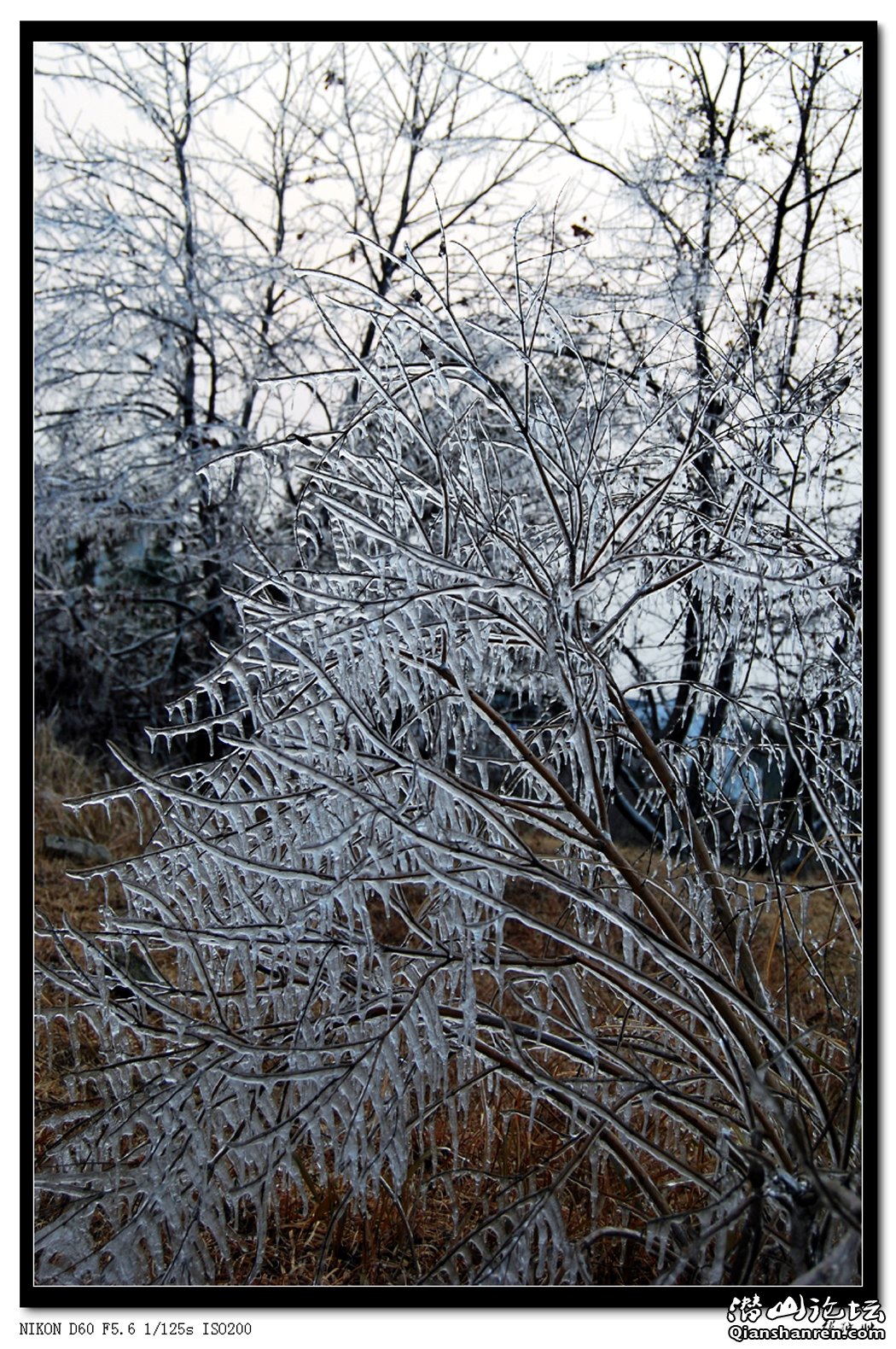 DSC_2375.jpg