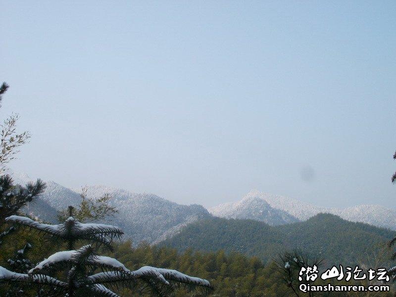 ALIM0386.JPG