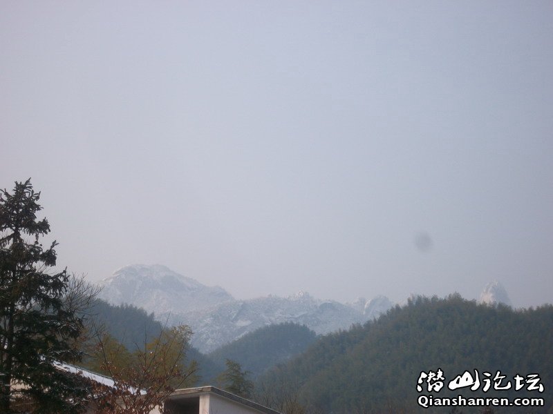 ALIM0382.JPG