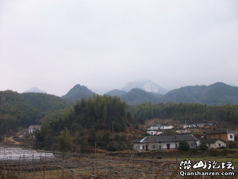 ALIM0378.JPG
