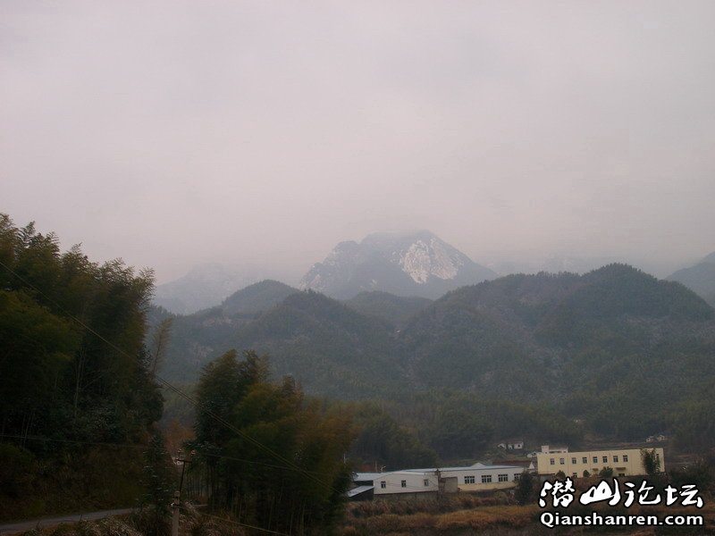 ALIM0380.JPG