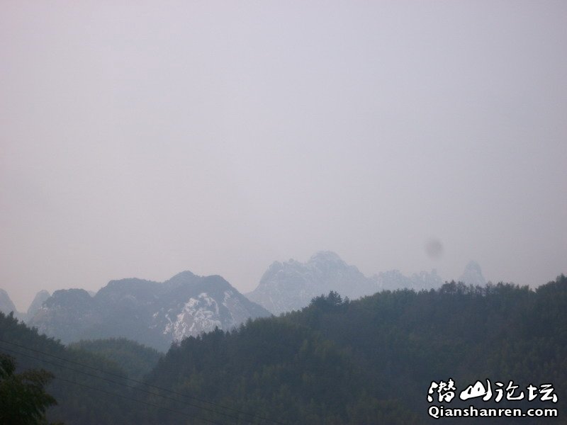 ALIM0394.JPG