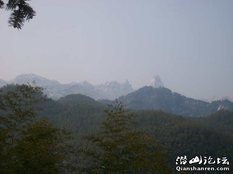 ALIM0383.JPG