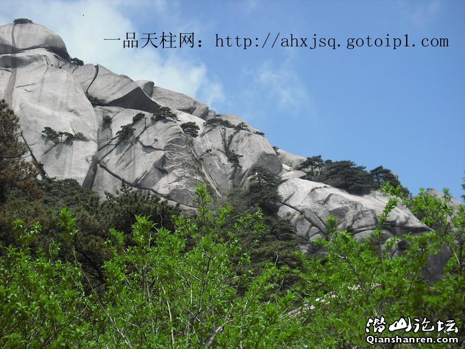 CIMG1230_.jpg