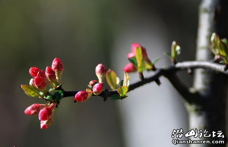 DSC_9414.jpg