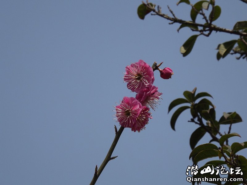 dscf0241_.jpg