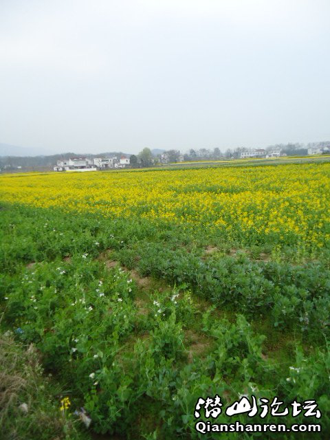 DSC01872.JPG