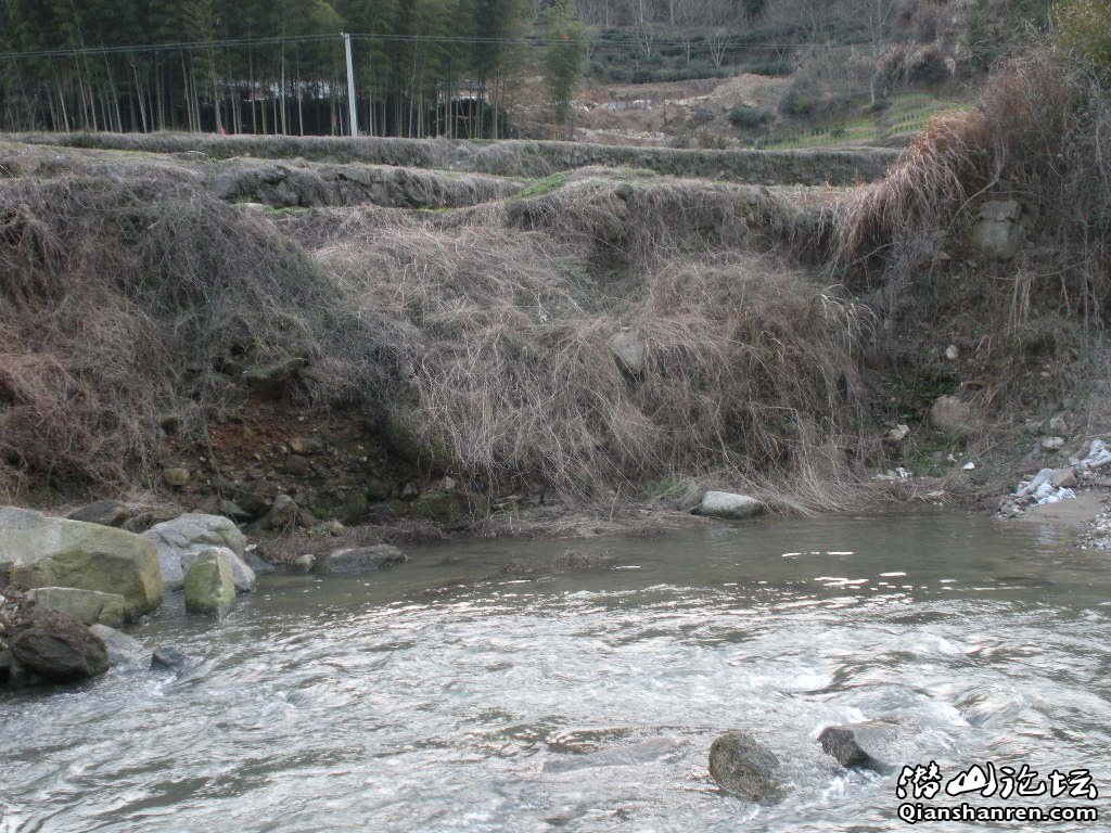 Ƭ 042.jpg