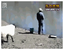 99.gif
