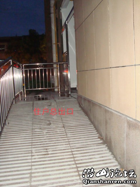 DSC05077 .jpg