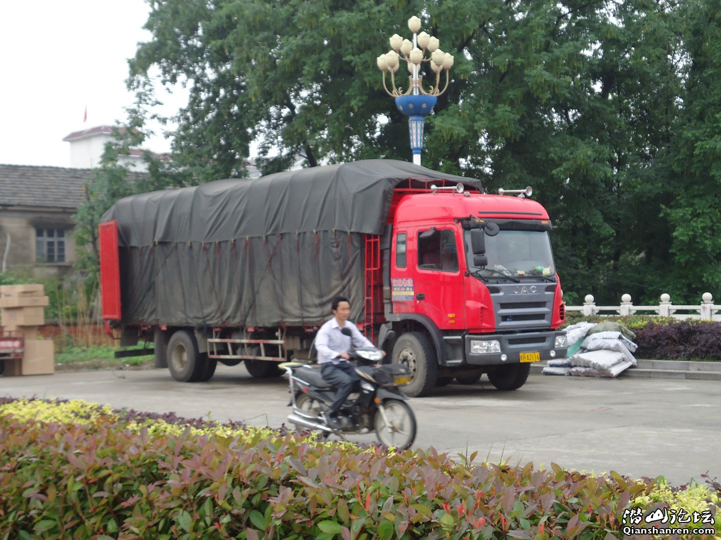 DSC00100.jpg