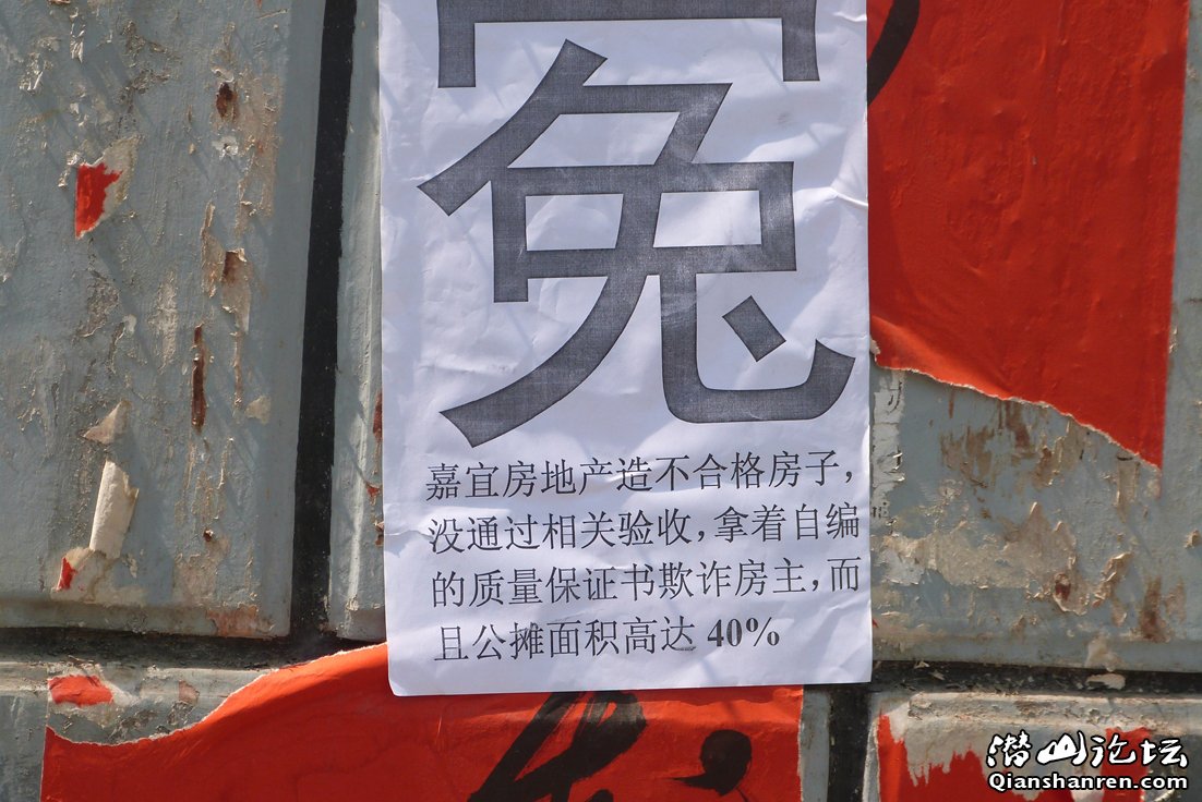 P1020178.jpg