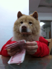 1336220721984.gif
