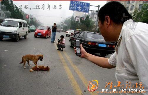 动物感人的故事 - 心情驿站 - 潜山,潜山论坛,潜