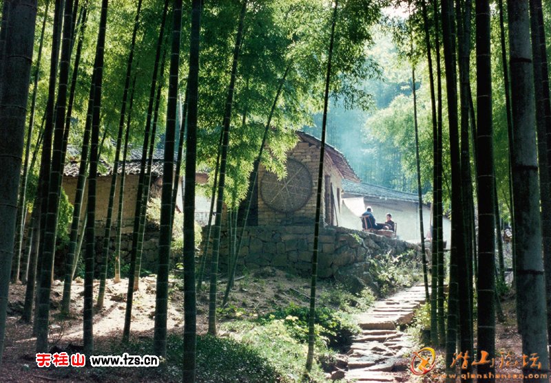 zhuxiangrenjia.jpg