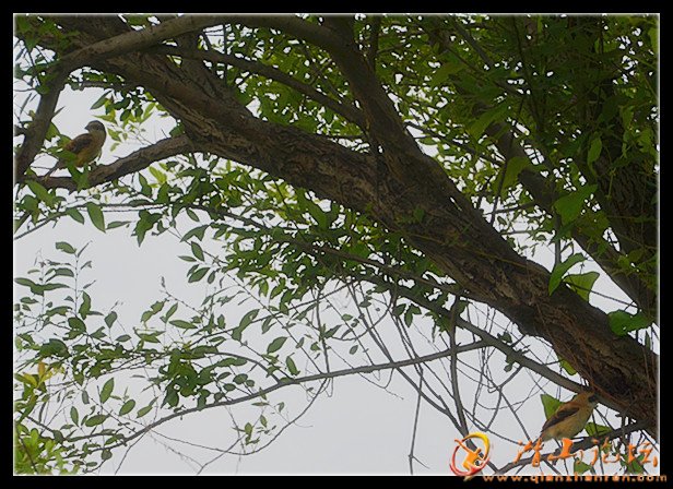 20120629 02248_����.jpg
