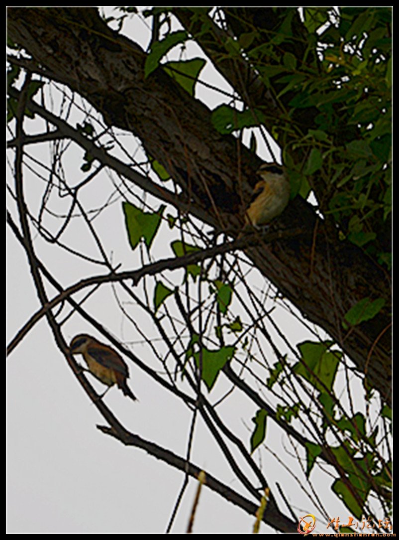 2012062901 267_����.jpg
