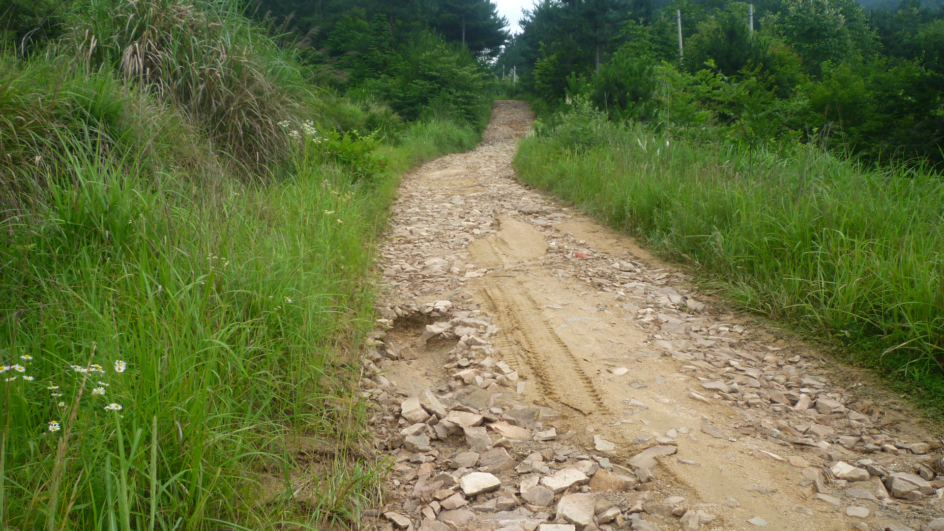 P1030709.JPG