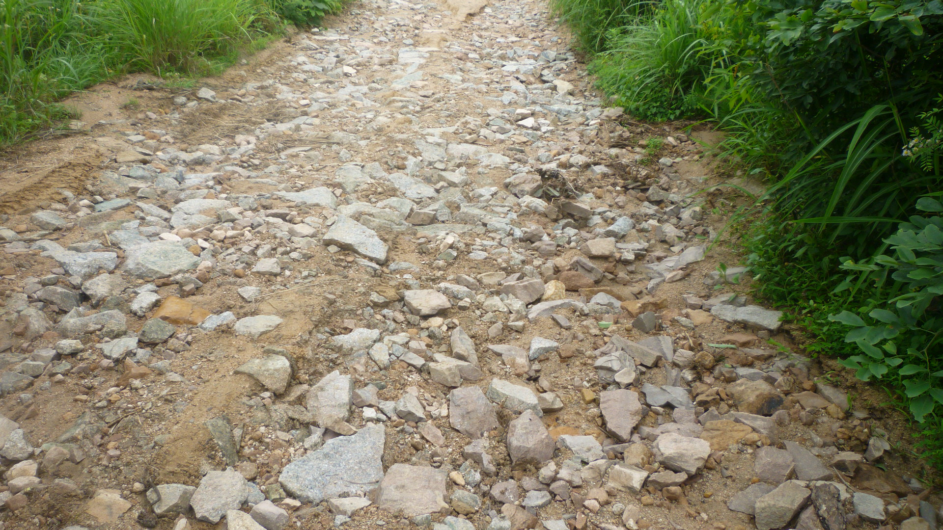 P1030719.JPG