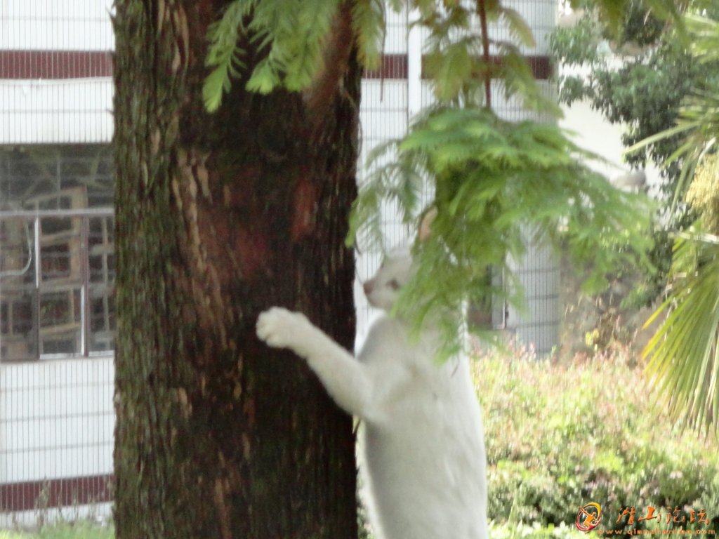 ���������Ҫ����׽��