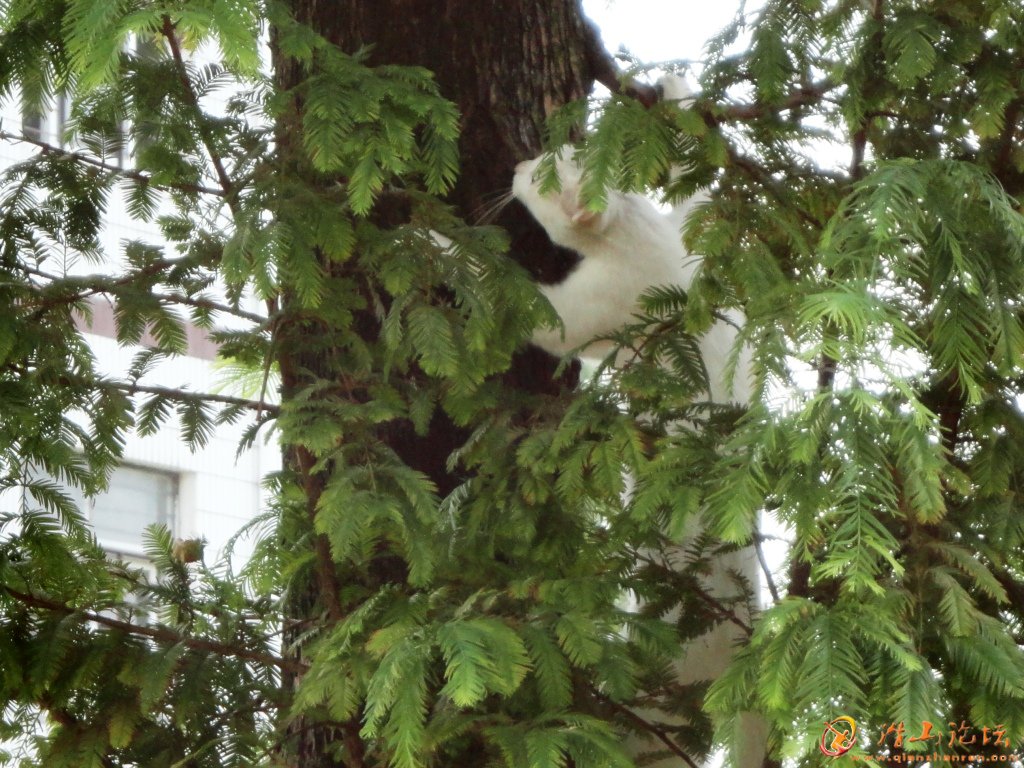 ���������Ҫ����׽��