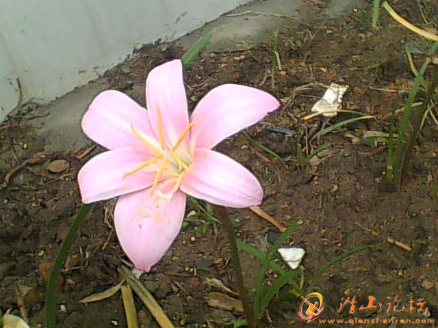 DSC_0000042.jpg