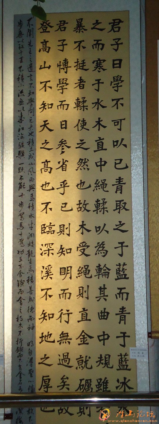 DSC00426.JPG