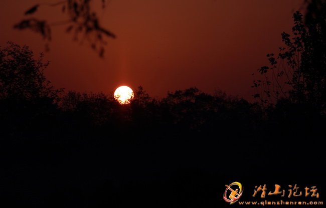 IMG_6355.jpg