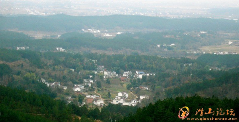 P1000236.jpg