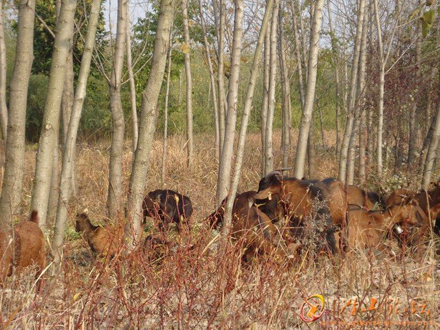 DSC00657.JPG