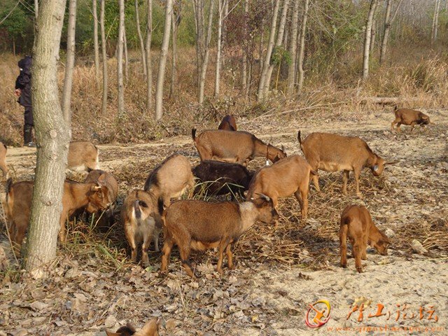 DSC00663.JPG