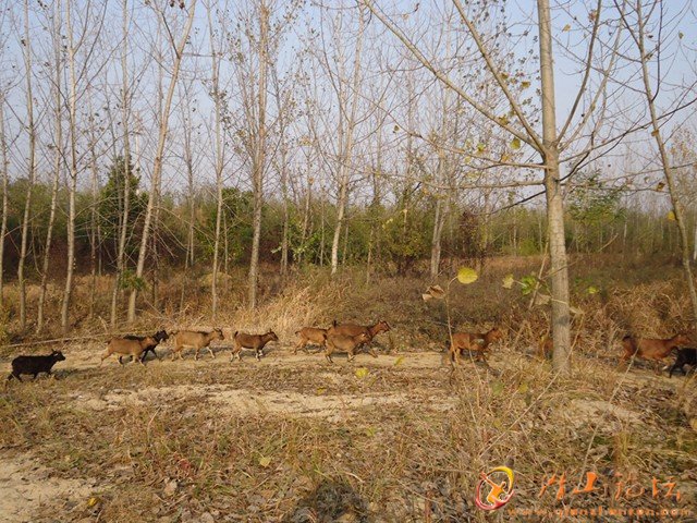 DSC00673.JPG