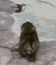 1338843633299.gif