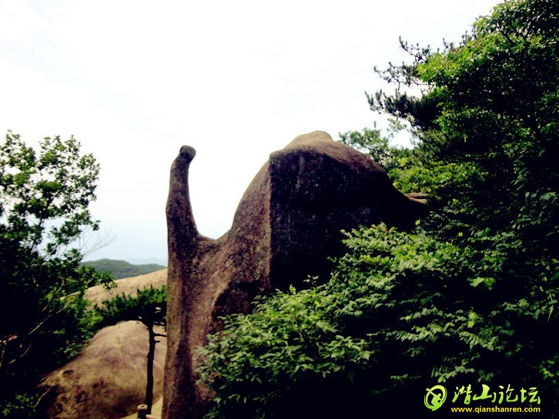 05.jpg
