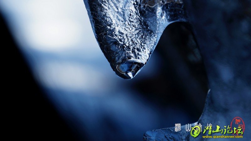 nEO_IMG_DSC04595.jpg
